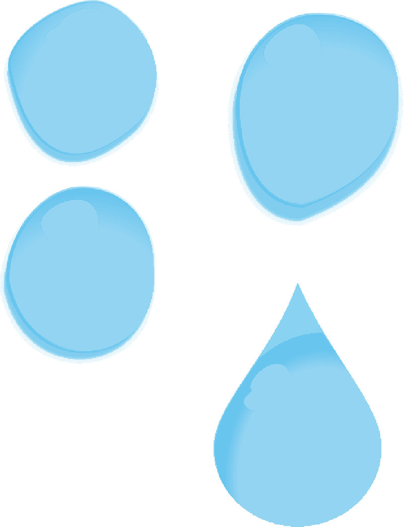 Mb Image/png - Circle (800x1044), Png Download