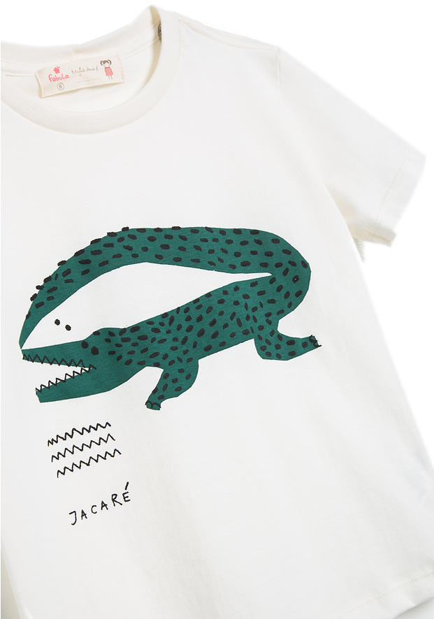 Categoria - Fábula - Alligator (620x930), Png Download