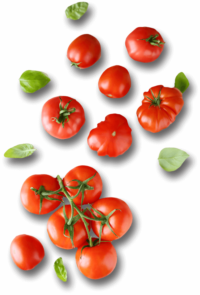 Tomatoes Png Download - Plum Tomato (702x1034), Png Download