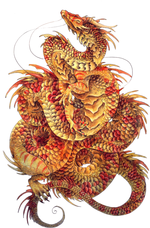 Tumblr N1xmnobrwz1rmdkvao1 500 - T-shirt (500x750), Png Download