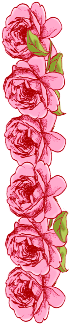 Free Faux Vintage Roses Frame And Borders Png Rosenrahmen - Rosen Rahmen Clipart Kostenlos (313x1141), Png Download