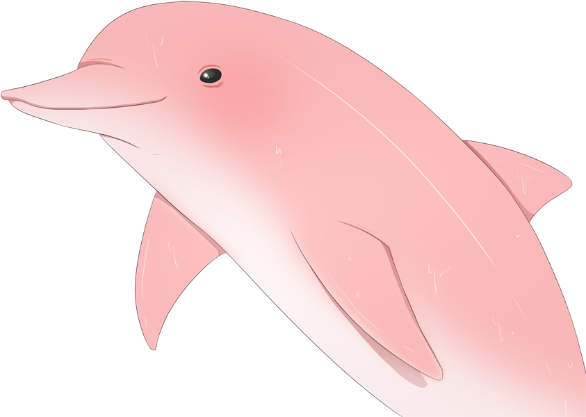 River Dolphin Cute - Beluga Whale (842x952), Png Download