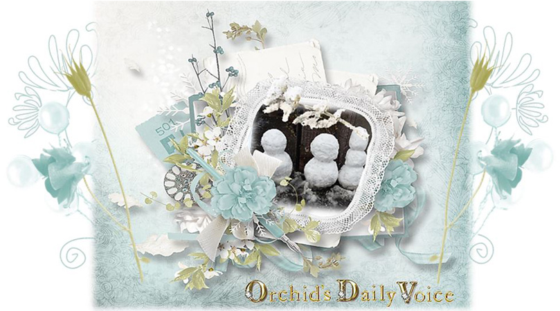Orchid's Daily Voice - Motif (855x449), Png Download