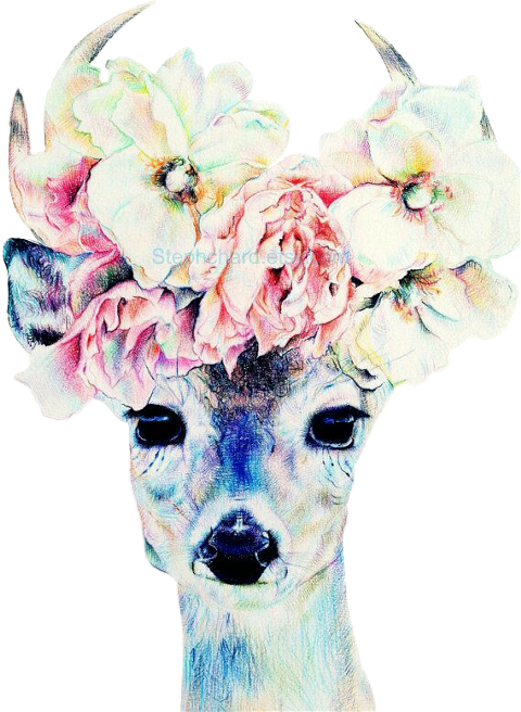 Deer With Flower Crown (480x656), Png Download