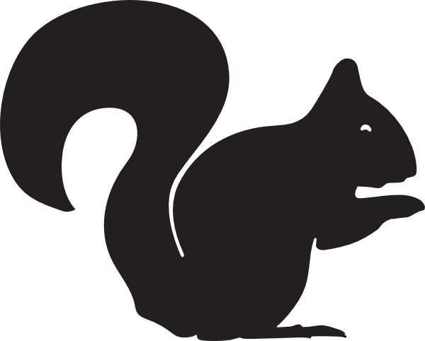 Black Squirrel Png - Squirrel Clipart Black And White (600x482), Png Download