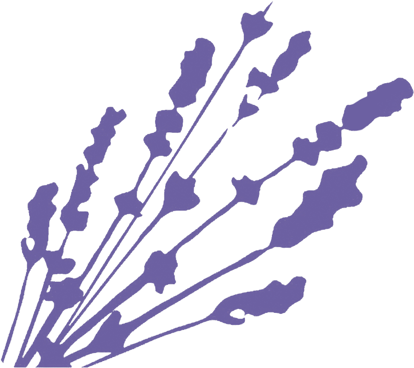 Lavender Bistro (901x824), Png Download