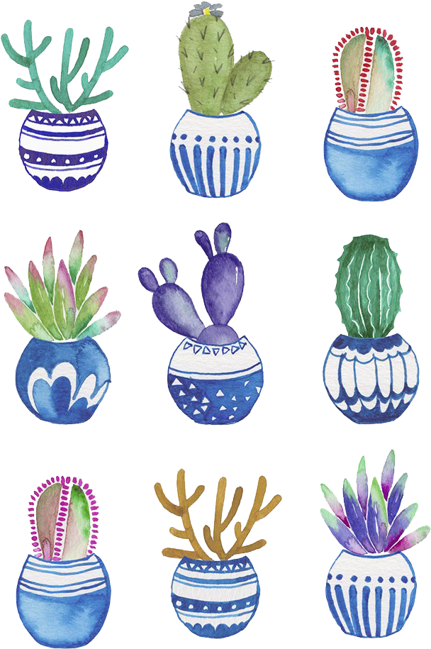 Graphic Royalty Free Download Bonsai Drawing Watercolor - Cactus Watercolor Painting (802x1024), Png Download