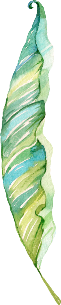 Tropical - Watercolor Painting (200x987), Png Download