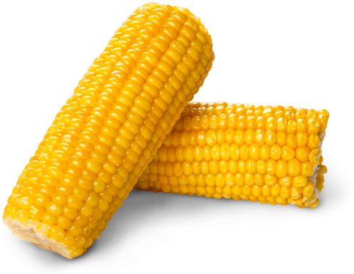 Corn Png Image - Corn Png (640x426), Png Download