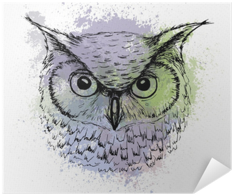 Vector Sketch Of Owl Head On A Background Of Colored - Owl Sketch (400x400), Png Download