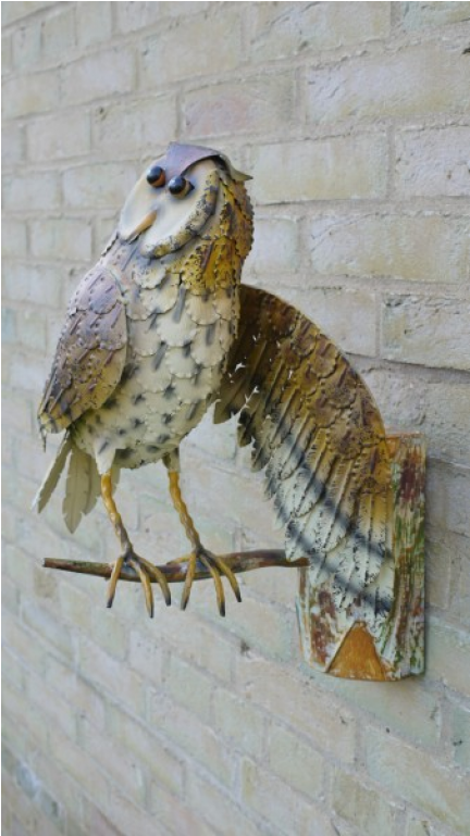 Owl Wall Decoration - Red Shouldered Hawk (1152x768), Png Download