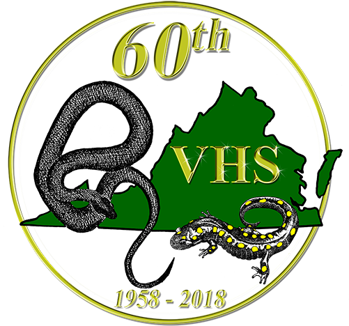 2018 Vhs Fall Events - Virginia State Icons Black And White (500x492), Png Download