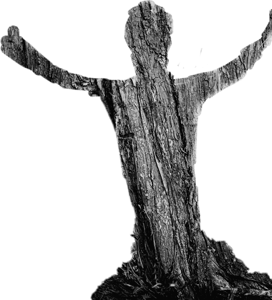 Wood Tecture Shadow Man Treeshadow - Monochrome (894x986), Png Download