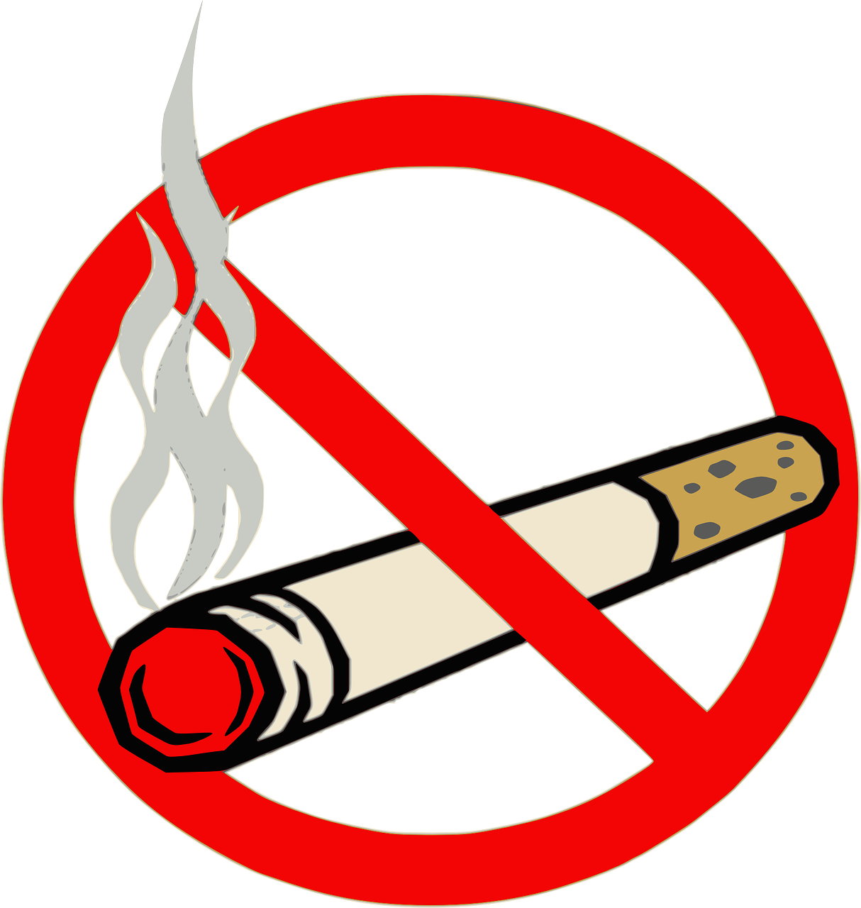 Our Opinion Luzerne County Community College Dares - Stop Smoking (1214x1280), Png Download