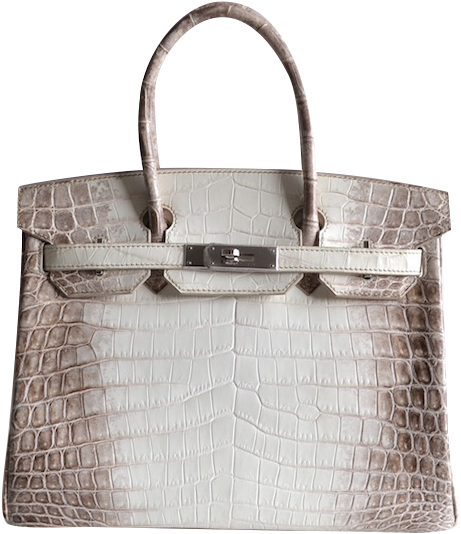 Hermès Birkin 30 Himalaya White - Hermes Birkin Himalayan Crocodile (577x600), Png Download