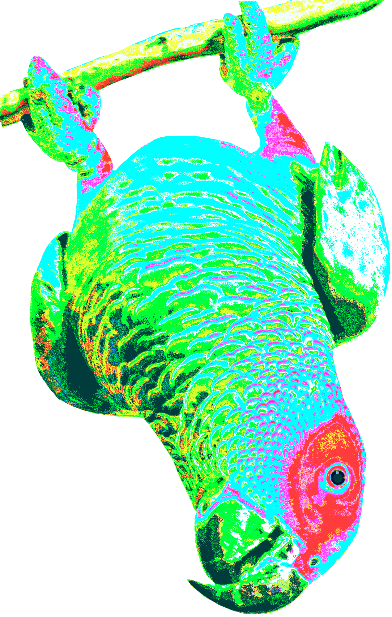 T-shirt (1268x1994), Png Download