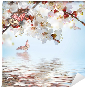 Apricot Flowers In Spring, Floral Background Wall Mural - Flower (400x400), Png Download