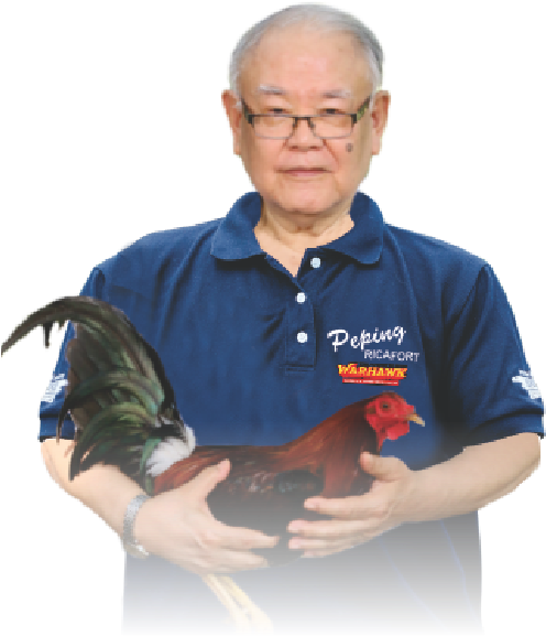 Don Peping Ricafort And Robert Gaston - Senior Citizen (501x701), Png Download