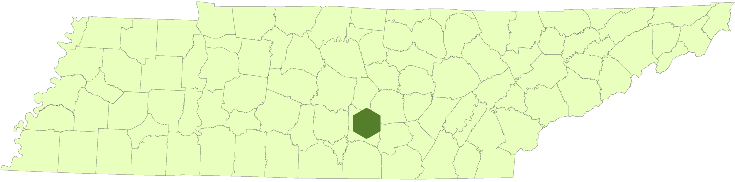 Old Stone Fort State - Tennessee White Black Shower Curtain (1466x363), Png Download