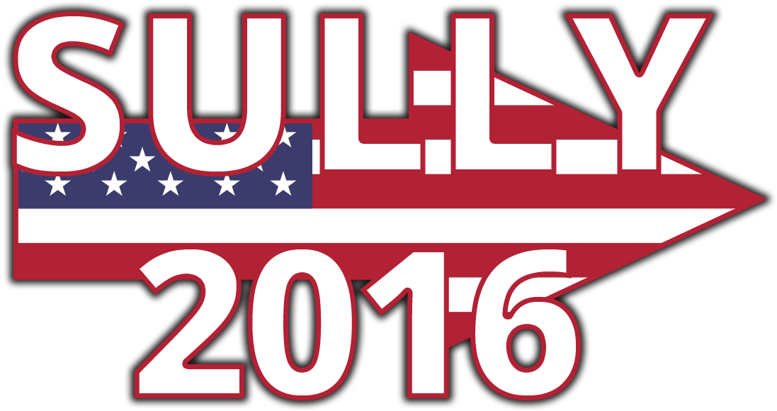 On November 8th, Write In Sully For President - Made In Usa (1200x632), Png Download