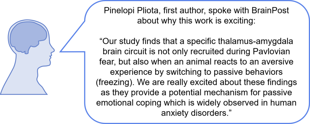 Thalamusquote1800 - Portable Network Graphics (1000x403), Png Download