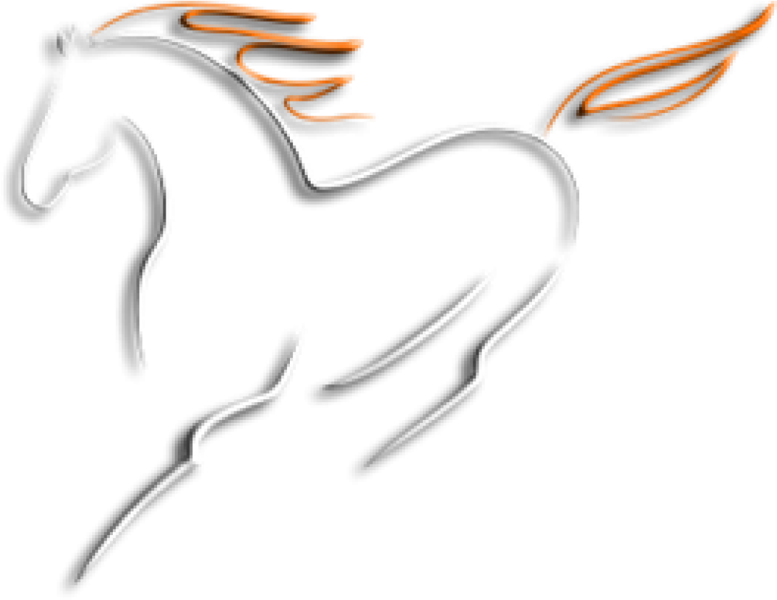 Morfología - Mustang Horse (1240x971), Png Download