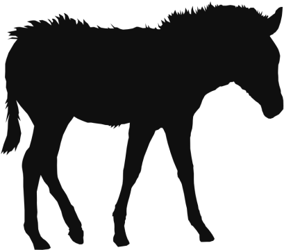 Caballo Animales Clipart Background - Animal (640x640), Png Download