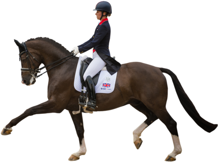 Siempre Nos Hace Mucha Ilusión Cada Vez Que Incluimos - Charles Owen V8 Navy (480x360), Png Download