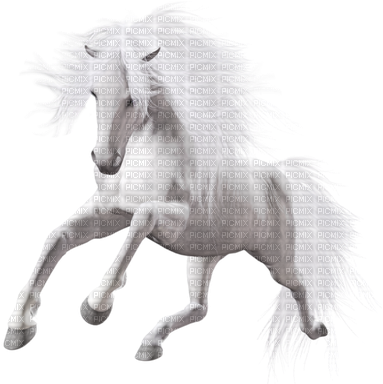 Caballo - White Horse Transparent (400x383), Png Download