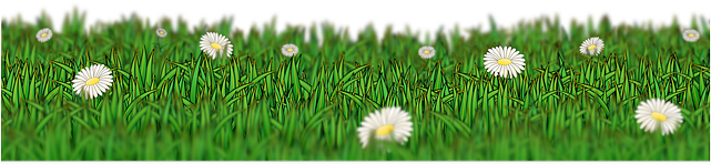 Meadow-162154 640 - Meadow Png (640x320), Png Download
