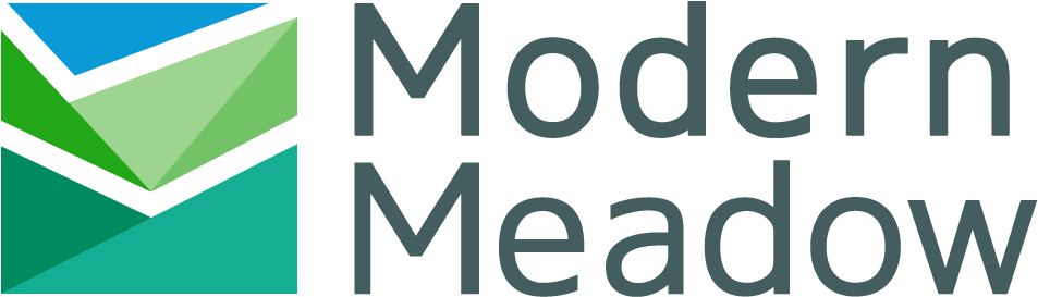 3d Printing, Meat, Investment, Series A Modern Meadow - Middle East Institute Logo (975x300), Png Download