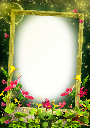 Flower Meadow In The Moonlight - Beautiful Green Borders And Frames (316x448), Png Download