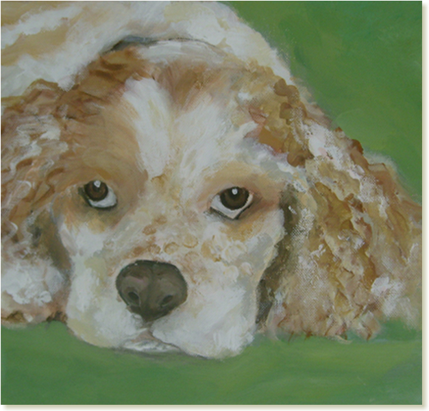 Cocker Spaniel (675x714), Png Download