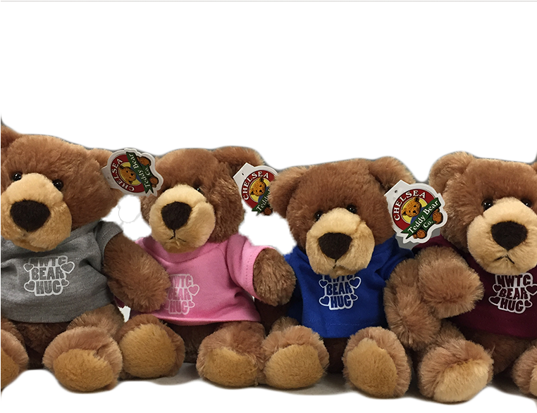 Plush Barney Bear - Northeast Wisconsin Technical College Bookstore (761x761), Png Download