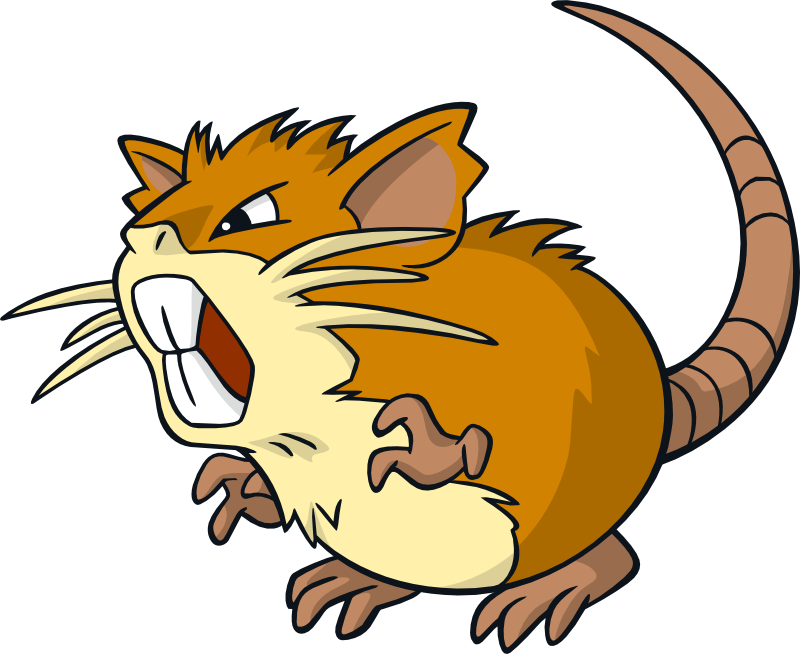 Evolved Form Of Rattata - Pokemon Raticate (800x654), Png Download