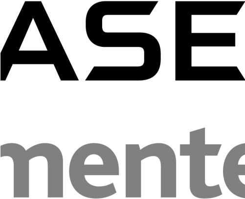 P Chase Logo Big - Chase Paymentech Logo Png (500x500), Png Download