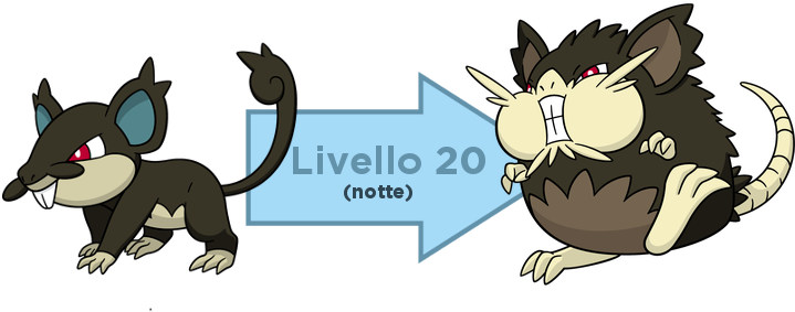 L'aspetto Dei Rattata Di Alola È Cambiato A Causa Delle - Rattata Raticate (800x390), Png Download