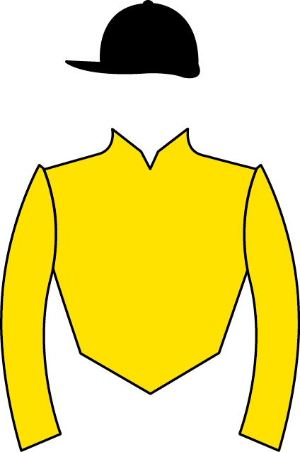 Rincon De Luna - Horse Racing (424x637), Png Download