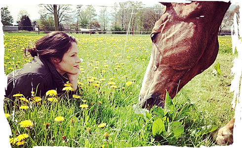 79jcmpf - Farm (500x300), Png Download