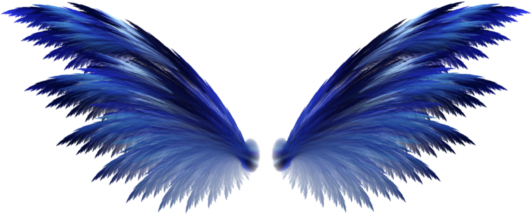 [ Img] - Alas En Formato Png (800x328), Png Download