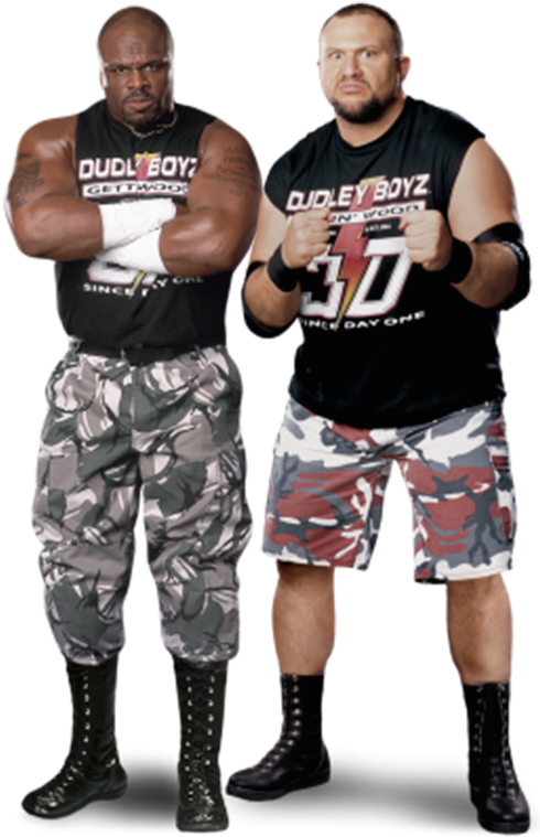 Bubba Ray Dudley And D-von Dudley - Bubba Ray Dudley Png (493x765), Png Download