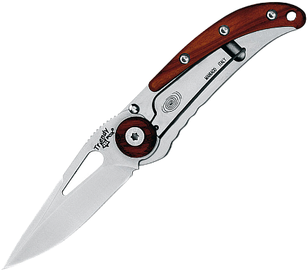 Trendy Fox 463-02 - Fox Trendy (500x500), Png Download