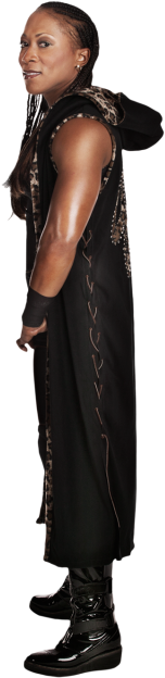 Jazz Ecw Download - Wwe Local Competitor Png (320x728), Png Download