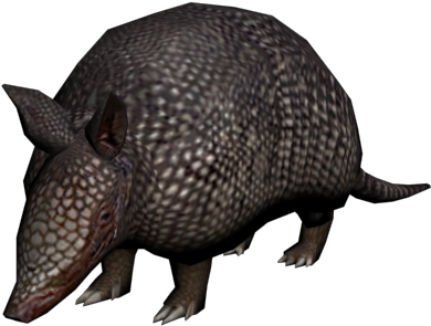 Armadillo - Red Dead Redemption Armadillo Animal (640x480), Png Download