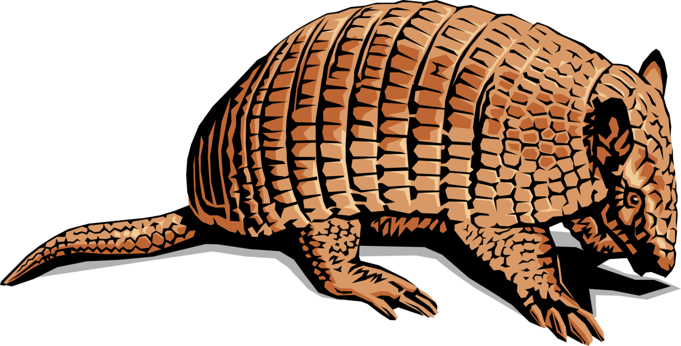 In Leathery Armour Shell Png Library Stock - Typical Animal Of Mexico (1378x700), Png Download