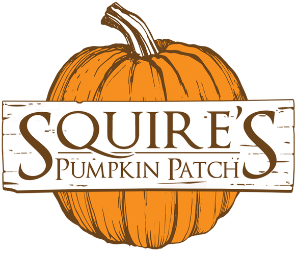 Pumpkin (799x600), Png Download