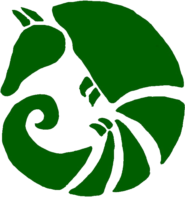 Armadillo (689x718), Png Download