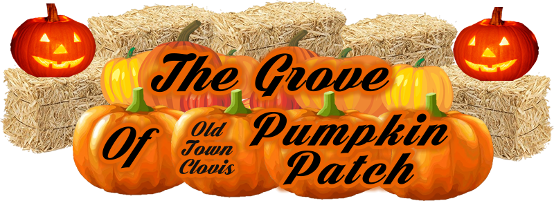 If You Have Any Questions Or Concerns, Please Contact - Miniature Authentic Hay Bale (800x291), Png Download