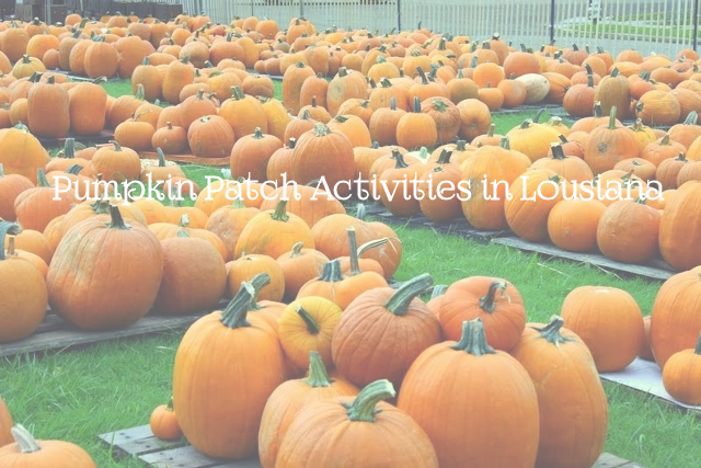 Fall Starts On September 22nd And That Means It Pumpkin - Louisiana (640x427), Png Download