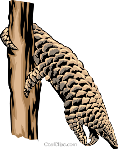 Armadillo Royalty Free Vector Clip Art Illustration - Manis (380x480), Png Download